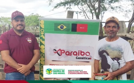 Imagem de destaque